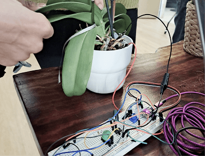 Plant-data sonification installation at IAAC with children at a keyboard